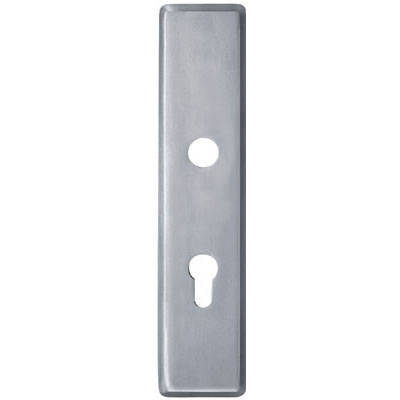 Stainless Steel Handle Plate